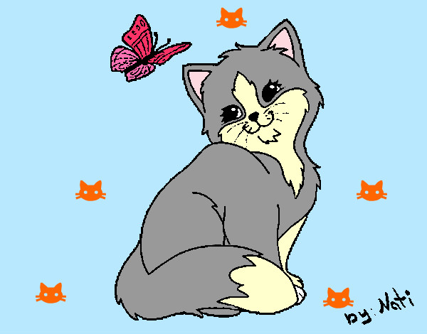 Gatito y mariposa