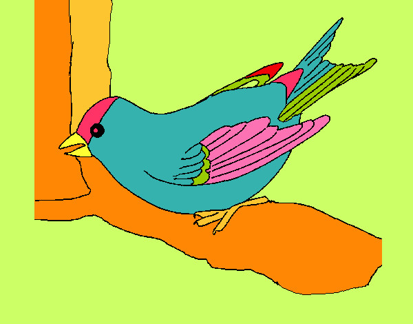 Dibujo Gorrión en una rama pintado por solsticio