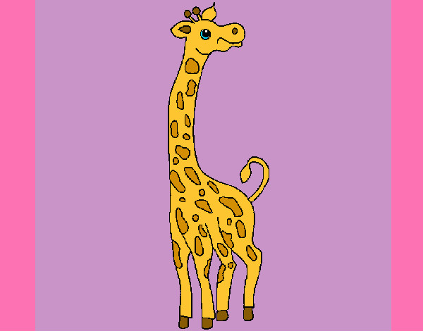 mi pequeña jirafa