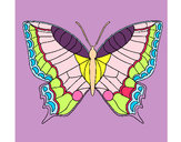 Dibujo Mariposa 16 pintado por yadira16