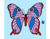 Dibujo Mariposa 7a pintado por aroa9