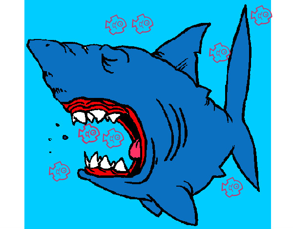 Dibujo Tiburón 1 pintado por german_din