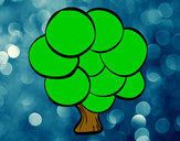 Dibujo Árbol con hojas redondas pintado por Sandrixbel