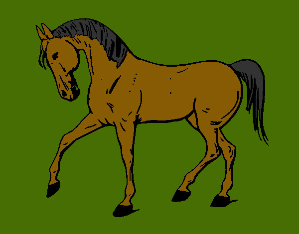 Dibujo Caballo con la pata levantada pintado por ransess