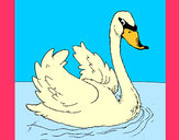 Dibujo Cisne en el agua pintado por prichu