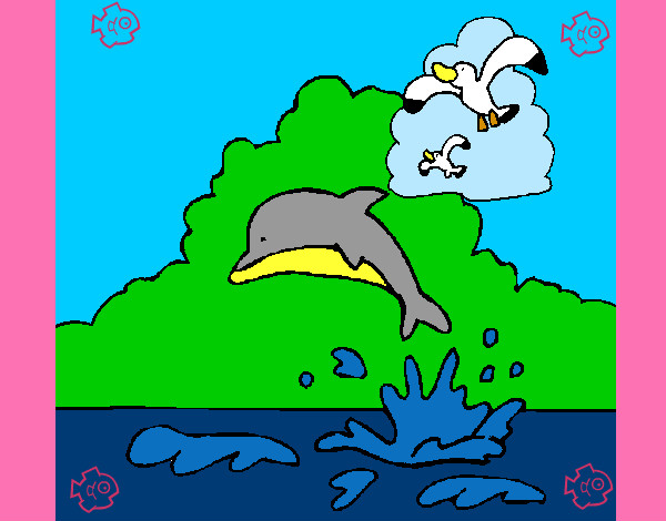 delfin con una gaviota
