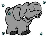 Dibujo Elefante 6 pintado por macdalena