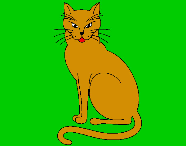 Dibujo Felino pintado por kiliantra