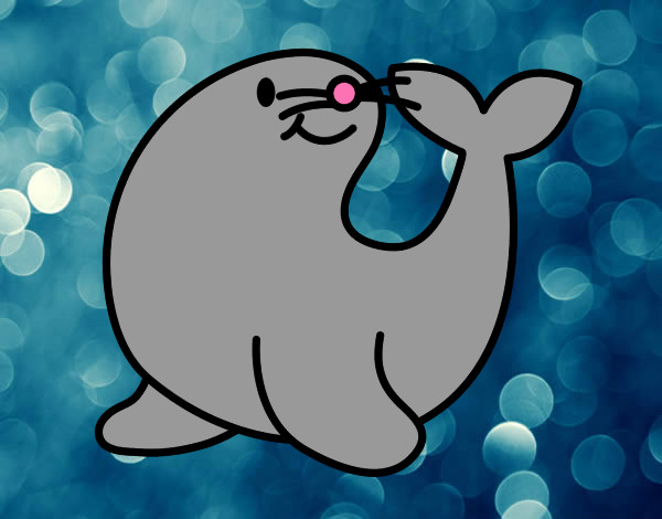 foca alegre en el agua