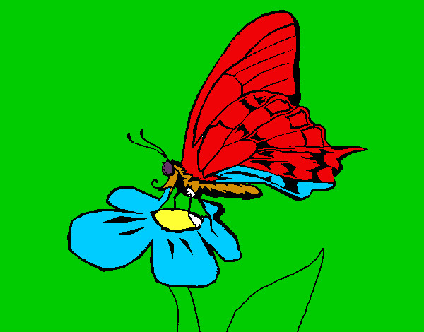 Dibujo Mariposa en flor pintado por kiliantra