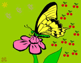 Dibujo Mariposa en una flor pintado por ransess