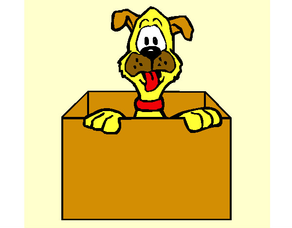 Dibujo Perro dentro de caja pintado por alan48117