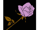 Dibujo Rosa pintado por gtmb
