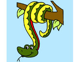 Dibujo Serpiente colgada de un árbol pintado por FABYFG