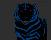 Dibujo Tigre 3 pintado por JuanikoPok