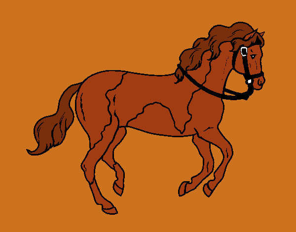 Dibujo Caballo 5 pintado por jfrkffkkf