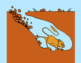 Dibujo Canguro rata pintado por jfrkffkkf