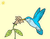 Dibujo Colibrí y una flor pintado por olimessi