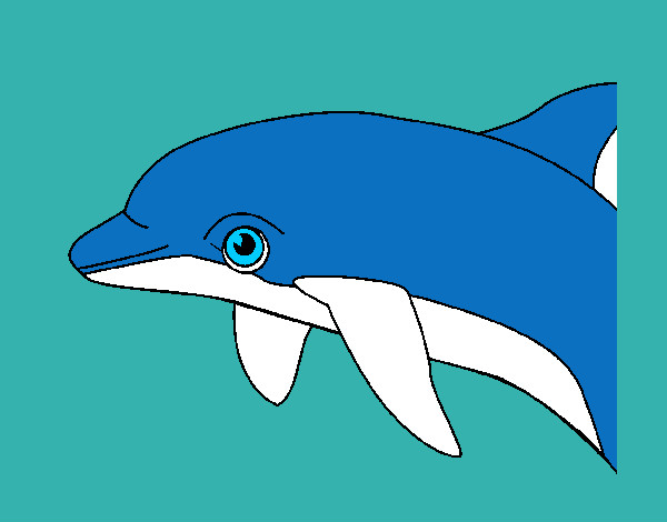 Dibujo Delfín pintado por LUCIAB
