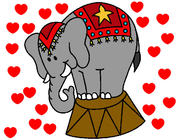el elefantin enamoraadoooo