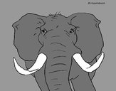 Dibujo Elefante africano pintado por jfrkffkkf