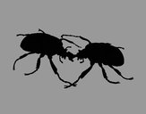 Dibujo Escarabajos pintado por jfrkffkkf