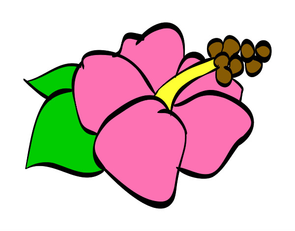 Dibujo Flor de lagunaria pintado por aledany03