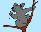 Dibujo Koala pintado por jfrkffkkf