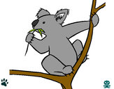 Dibujo Koala pintado por Strak