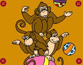 Dibujo Monos haciendo malabares pintado por Marina10