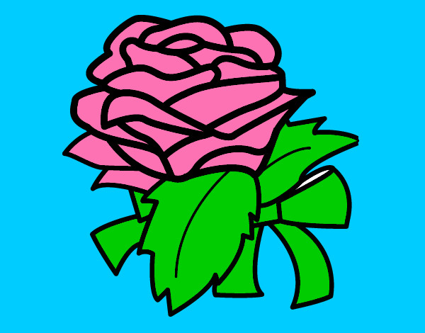 Dibujo Rosa, flor pintado por amayi