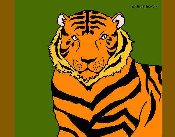 Dibujo Tigre 3 pintado por elturro