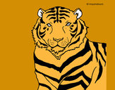 Dibujo Tigre 3 pintado por jfrkffkkf