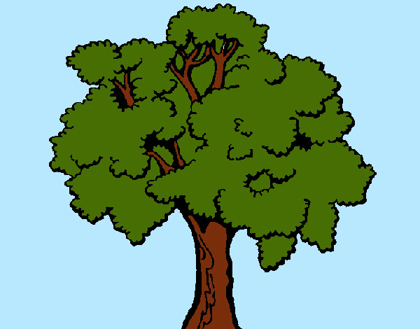 árbol