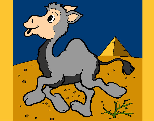 Dibujo Camello 1 pintado por rubymon200