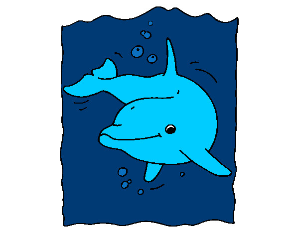 el delfin