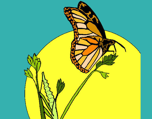Dibujo Mariposa en una rama pintado por Veri Veri