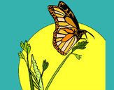 Dibujo Mariposa en una rama pintado por Veri Veri