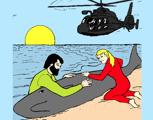 rescate ballena