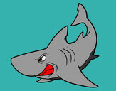 Dibujo Tiburón enfadado pintado por Cecu