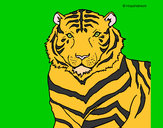 Dibujo Tigre 3 pintado por Elisa1010