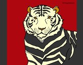 Dibujo Tigre 3 pintado por Vemeerita