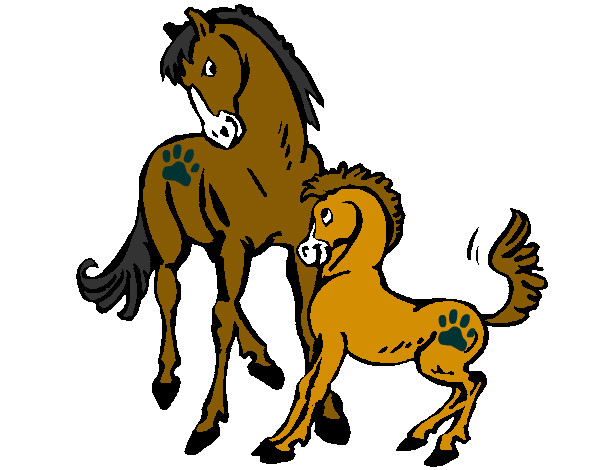 caballos