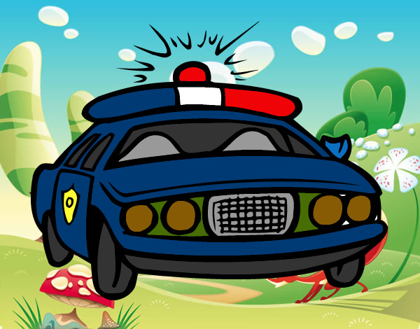 un auto de la policia