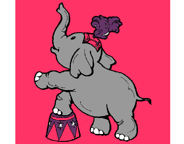 Elefante