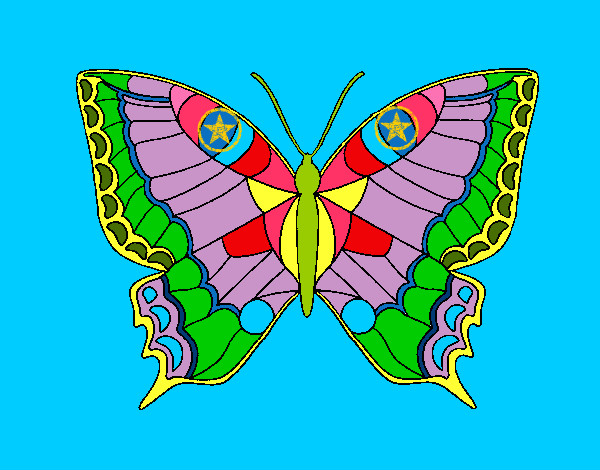 mariposa 16