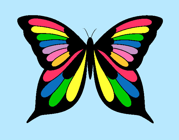 mariposa arcoiris