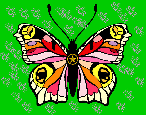 mariposa 20