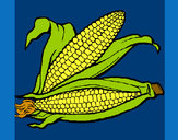 Dibujo Mazorca de maíz pintado por hernande