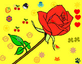 Dibujo Rosa pintado por hebsybanai